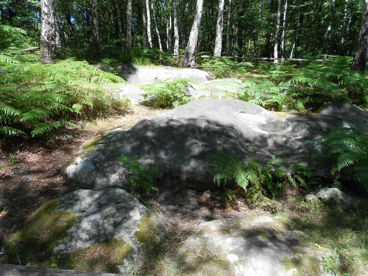 Polissoir de la forêt du Lay