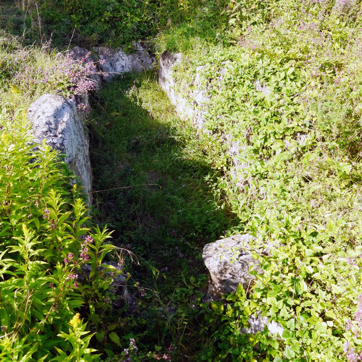 Allée couverte du Blanc Val
